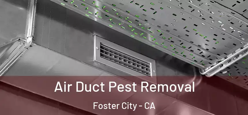 Air Duct Pest Removal Foster City - CA