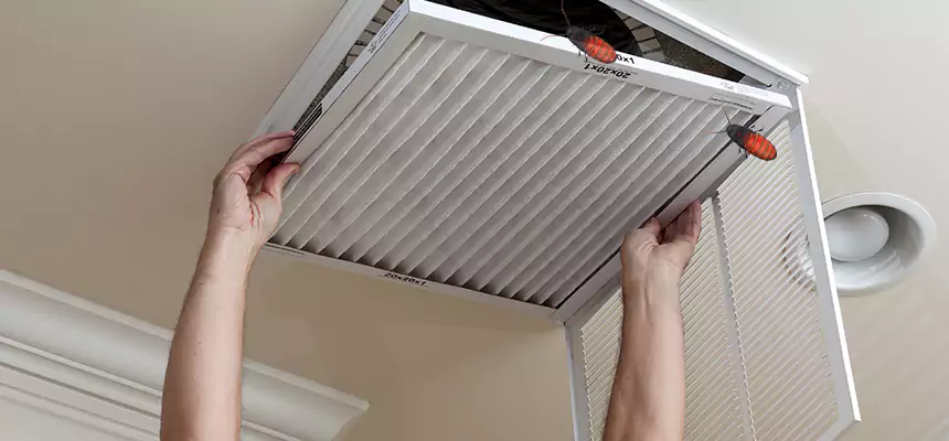Our Insect Removal from Air Ducts Services in Foster City, CA