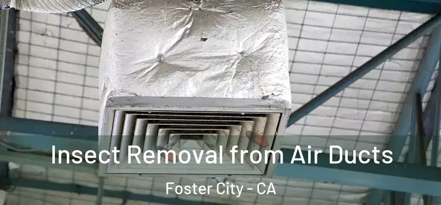 Insect Removal from Air Ducts Foster City - CA