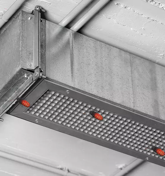 About Air Duct Cockroach Removal in Foster City, CA