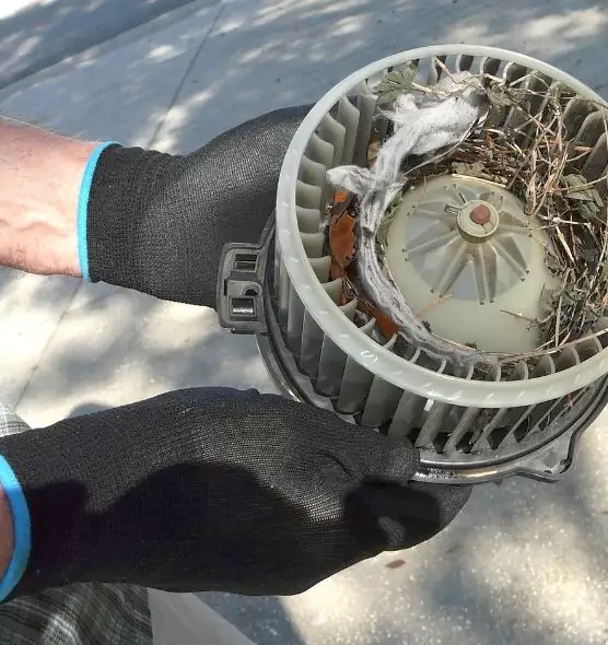 About Air Duct Rat Removal in Foster City, CA