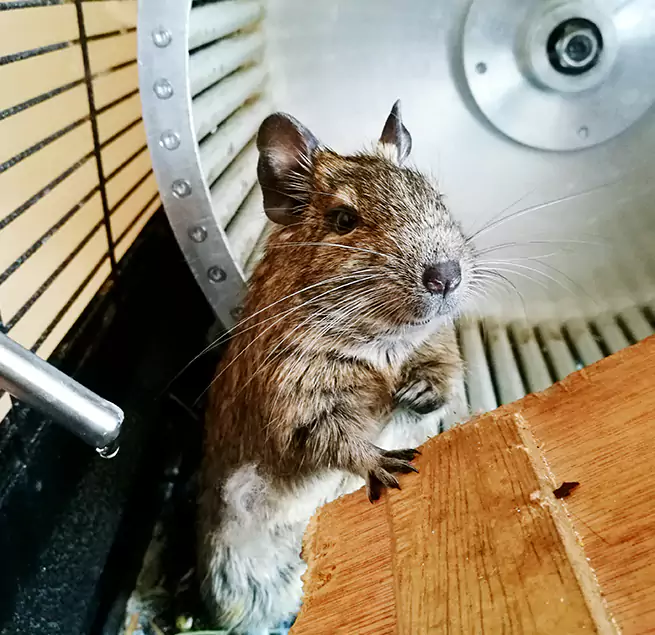 Why Homeowners & Businesses Trust Us Foster City, CA?