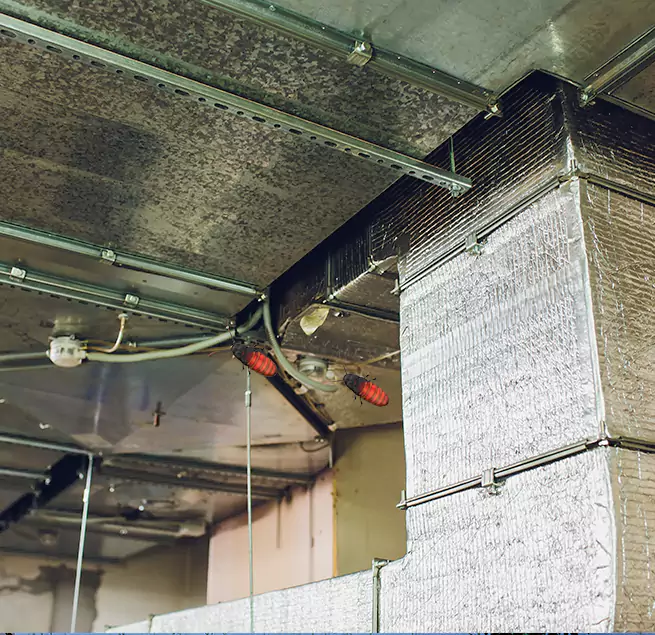 Why Homeowners & Businesses Trust Us Foster City, CA?