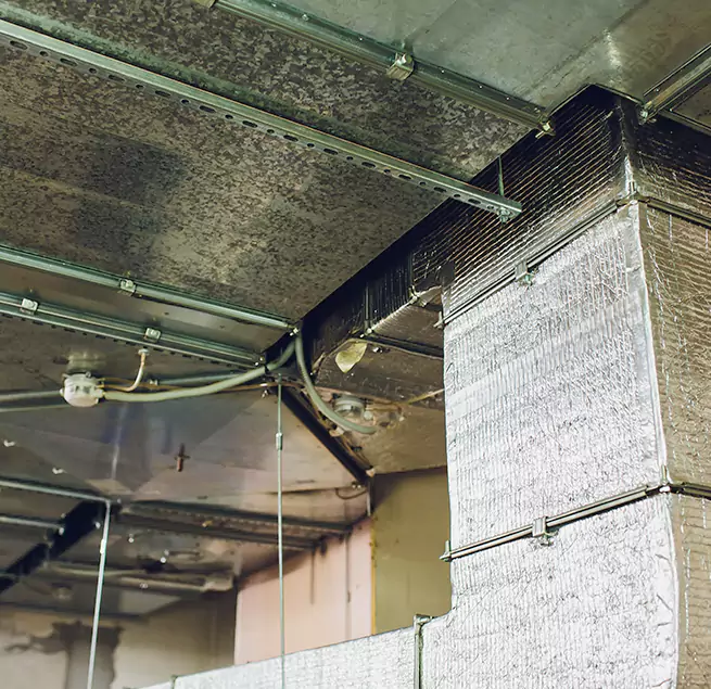 Why Homeowners & Businesses Trust Us in Foster City, CA?